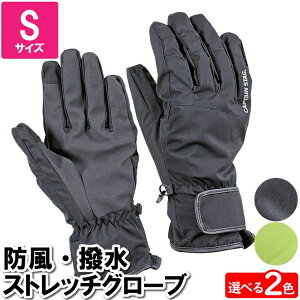  Ԃ h h  h hO[u X}z X}zΉ S