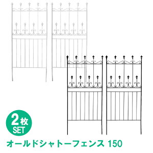 [p5{N[|聝ubNtCf[11/27܂] Vg[tFX 156cm [^Cv 2g tFX ACA  d؂ nMOO[ o