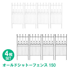 [15%offcpsp5{15NLO-11/19܂] Vg[tFX 156cm [^Cv 4g tFX ACA  d؂ nMOO[ o