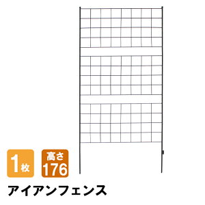 [15%offcpsp5{15NLO-11/19܂] ACAtFX 176 1 tFX ACA X`[ K[fjOgX U o O