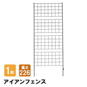 ACAtFX 226 1 tFX ACA X`[ K[fjOgX U o O