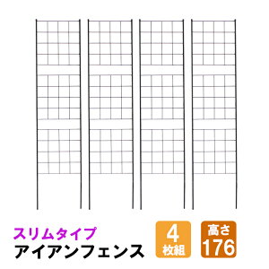 [7%offN[|s-12/04܂] ACAtFX 176 X 4g tFX ACA X`[ K[fjOgX U o O