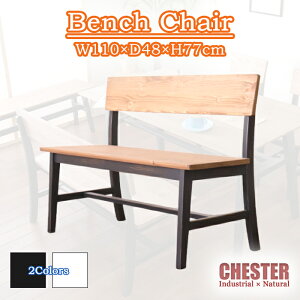 _CjOx` wt 110 H֎q Ahgp Be[WeCXg C_XgA VR k pC CHESTER