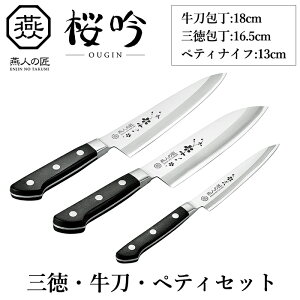 [p10{yVX[p[SALE-9/11܂] O 16cm  30cm yeB 23cm Zbg XeX  \ { l̏ 