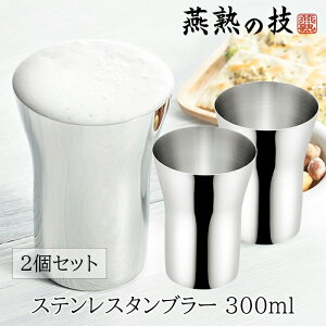 [10%offN[|s-10/19܂] XeX ^u[ 300ml 2Zbg  u Mtg { { n̋Z