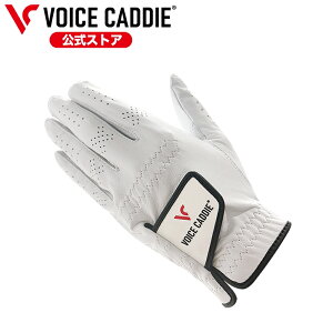{CXLfB St O[u rv Voice Caddie  zCg p 19cm`25cm Y fB[X zCg
