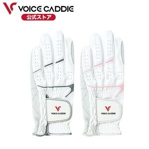 {CXLfB St O[u rv Voice Caddie  zCg p 18cm`26cm Y fB[X O[ sN