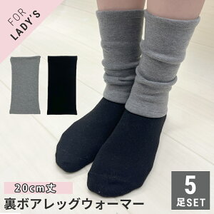 fB[X bOEH[}[ {A V[g  20cm ѕz  O[ 5Zbg N  g h ₦΍ wl t[TCY y[ z