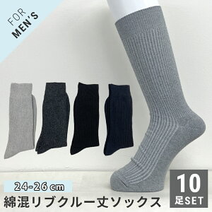 Y am N[ 10Zbg u ȍ n rWlX rWJW JWA Vv  tH[} g h ₦΍ MLH 24-26cm \bNX C yz