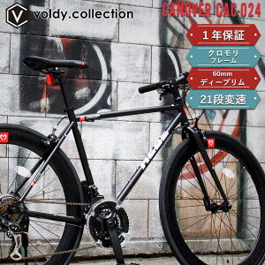 Xg[gnNXoCN ] V}m21iϑy[J[cXz27C` 700C 700×25C Nt[ 60mmfB[v ou   j ʋ ʊw ubN zCg