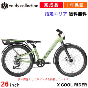 自転車 完成品 組立済 24インチ 26インチ 7段変速 ディスクブレーキ オートライト 可変ステム ロイヤルベイビー 日本総代理店 Royalbaby XCOOLRIDER
