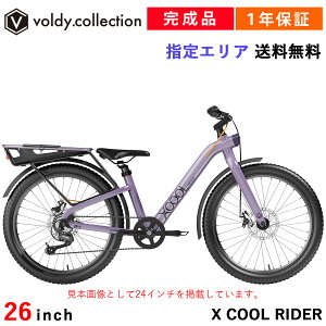 ] i g 24C` 26C` 7iϑ fBXNu[L I[gCg σXe CxCr[ {㗝X Royalbaby XCOOLRIDER