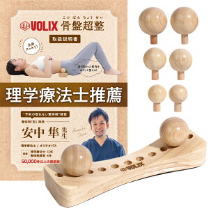 VOLIX Ւ c{ }bT[W RfBVjO Ջ   c{ ق