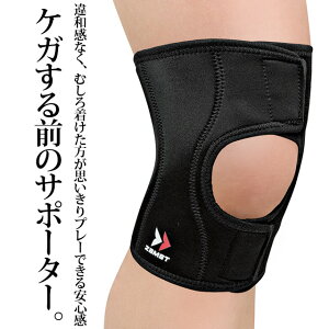 GT|[^[ UXg(zamst) qUpT|[^[ EK-1 (EpE1)