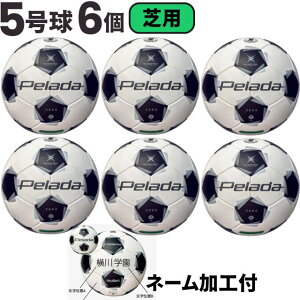 �y�l�[�����H���݁z�����e�� molten �T�b�J�[ �y���[�_5000 �ŗp ���苅 ���ی��F�� 6�Z�b�g F5K5000 ��6����