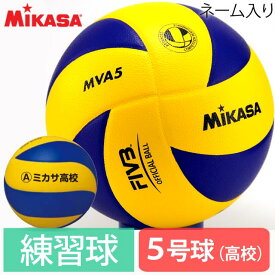 動物画像無料 ベストミカサ バレーボール イラスト 動物画像無料 ベストミカサ バレーボール イラスト