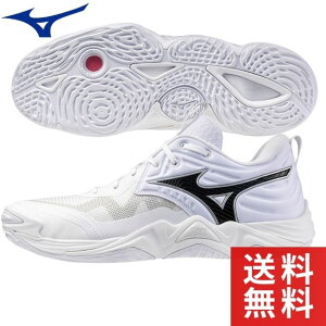 2025V ~Ym o[{[V[Y EG[u[^ G[g Y zCg×ubN V1GA2512-51 p