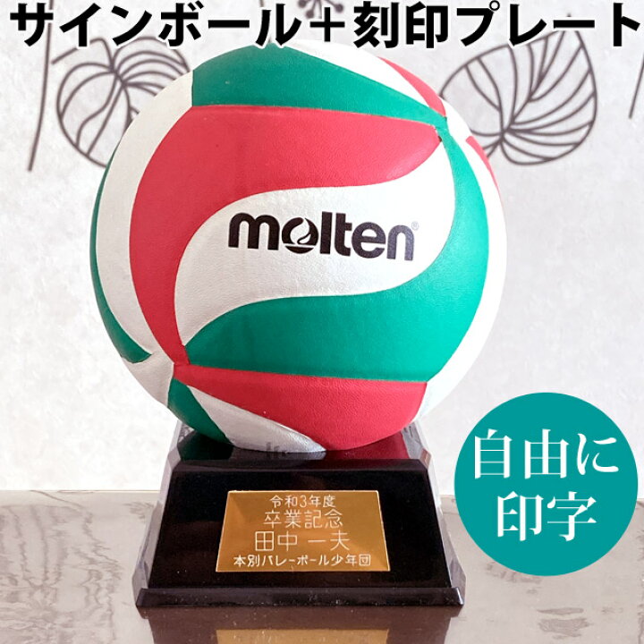 楽天市場 プレート付 モルテン サインボール バレー セット 寄せ書き 卒業記念品 ネームプレート バレーボール V1m500 刻印 自由 ゴールド Molten 記号別途見積り バレーボールアシスト楽天市場店