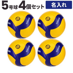 y[10-14zyl[ {[zo[{[5 ~JT MIKASA V300W 4 [ϕs]yz