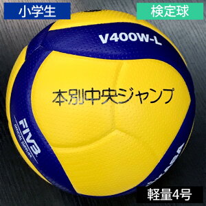 y[10-14zMikasa ~JT l[ V400W-L `[{wpo[{[y4 苅 }[LO