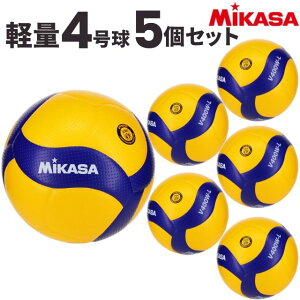 yz~JT MIKASA wpo[{[y4 5Zbg 苅Zbg V400W-L