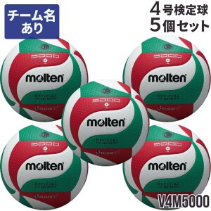 yze o[{[ V4M5000 4{[ 苅 {[Zbgw5Zbgxl[wwEƒwlpxs