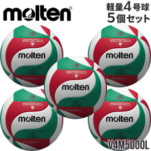 yze molten y4 o[{[ 5Zbg 苅Zbg V4M5000-L