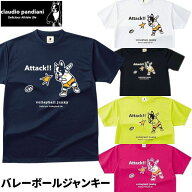 バレーボールジャンキー Tシャツ パンディアーニ 半そで 練習着 VJ17005