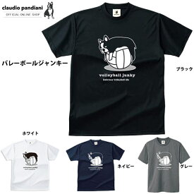 【1枚までメール便OK】2022継続！パンディアーニ Tシャツ バレーボールジャンキー 半そで《練習着》【VJ17503】