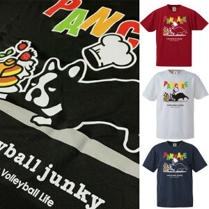 バレーボールジャンキー Tシャツ パンディアーニ 半そで 練習着 VJ22001
