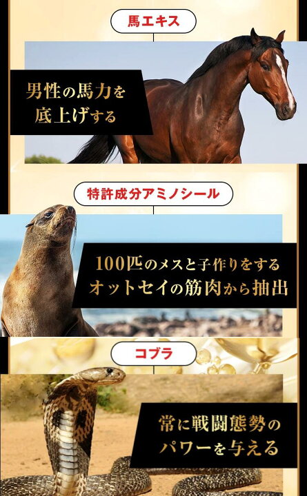 楽天市場】増大サプリ 亜鉛 増大 シトルリン アルギニン 【公式／自信 