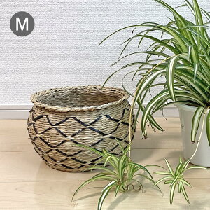 oXPbg  MTCY  V[OX oXPbg oXPbg [ Jo[  ו  rO[ nhCh  JS oXPbg i` Lb`[ p