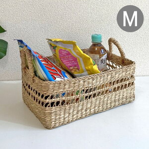 ꂩ V[OX oXPbg MTCY oXPbg  VRf nhCh  Vv D  JS i i` G CeA