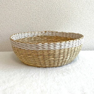 y11/118OFF+P5{z oXPbg   َqꂩ ʕ V[OX oXPbg oXPbg [  ו  rO[ nhCh  JS oXPbg 