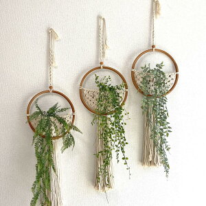 y18OFFN[|zzz }N ^ nMO Rbg  Vv Ǐ i CeA Ǒ