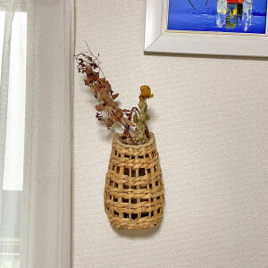 y11/118OFF+P5{z EH[fR EH[^[qVX oXPbg  JS oXPbg EH[fR[V Ǒ i` Ǌ|  Vv Ǐ CeA 