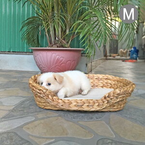 【マラソン期間25%OFF】 ペット ベッド Mサイズ クッション キャスト 犬 猫 ベッド ウォーターヒヤシンス ペットハウス おしゃれ キャットハウス バスケット かわいい 猫用 犬用 ペットハウ