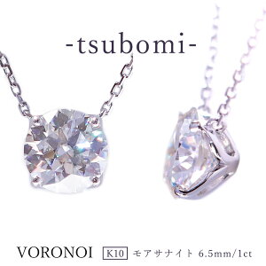 K10 ATiCg 6.5mm _Ch1ct ꗱ lbNX y_g Q  fUC 10 S[h Vv J Mtg a LO  lC gh VORONOI {mC