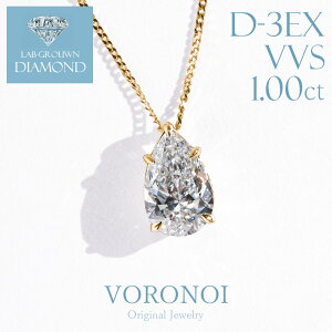 ネックレス ダイヤモンド ペアシェイプ 1ct」の人気商品一覧・価格比較 