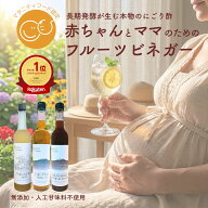 フルーツビネガー ＼レビューで500円OFFクーポン／ 500ml 敬老の日 無添加 おいしい酢 果実酢 ゆず/ザク…