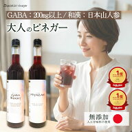 にごり酢 GABA 日本山人参 【レビューで500円OFF】 飲むお酢 500ml ギャバ ヒュウガトウキ アミノ酸 酢酸…