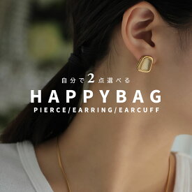 福袋 自分で選べる 【プレミアム福袋チケット】 ピアス2点選んで1,980円 ピアス イヤリング 金属アレルギー 対応 アクセサリー レディース イヤーカフ ノンホールピアス アクセサリー メール便送料無料【※クーポン利用不可】 【お1人様2個まで】 2025