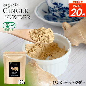 【ポイント20倍！2袋で1900円】ジンジャーパウダー オーガニック 120g 有機 JAS認証 生姜 粉末 パウダー しょうが ショウガ 乾燥粉末 生姜 有機生姜末 しょうが湯 生姜湯 ホットドリンク 温活 冬 スパイス 調味料 香辛料 VOXTRY ヴォークス 1000円