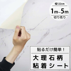 ySiP10{I17܂ŁzJbeBOV[g 嗝 SV[g ǎV[ CNV[g V[g h Q  k CeAV[g DIY ؂蔄 122cm Q814