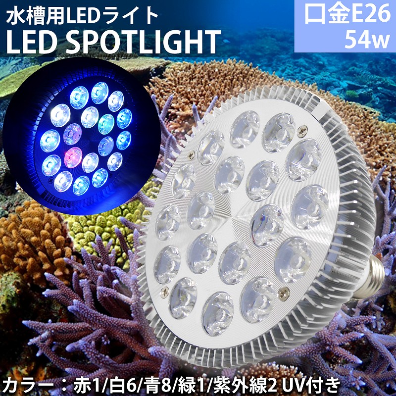 サンゴ 水槽 led 照明の人気商品・通販・価格比較 - 価格.com