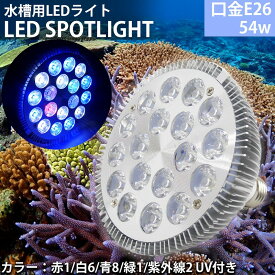 楽天市場 アクアリウム 水草の通販