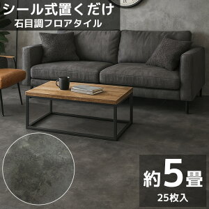 ySiP10{I11܂ŁztA^C ƎҌpB vdl Ζڒ ڒܕt  t[O \邾 t[O^C DIY  tA^CXebJ[ 6 600p 600mm 60cm 25Zbg FT-