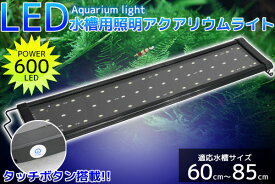 楽天市場 水槽 60cmの通販