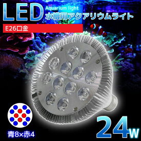 楽天市場 Led E26 水草の通販