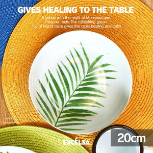 GNX`FT(EXCELSA) tHG[W X[vv[g 20cm  [M X[vM V`[M t O[   [bp  uh mH C^AH ̓ v[g